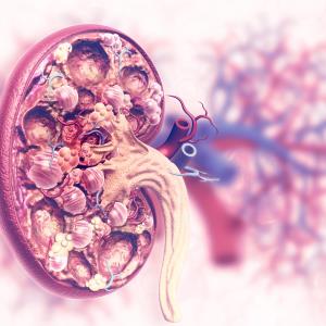 Long-term tacrolimus therapy safe, effective in lupus nephritis