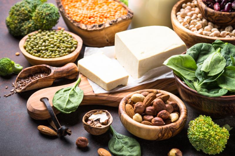 Plant-based protein diet lowers serum urate in gout patients