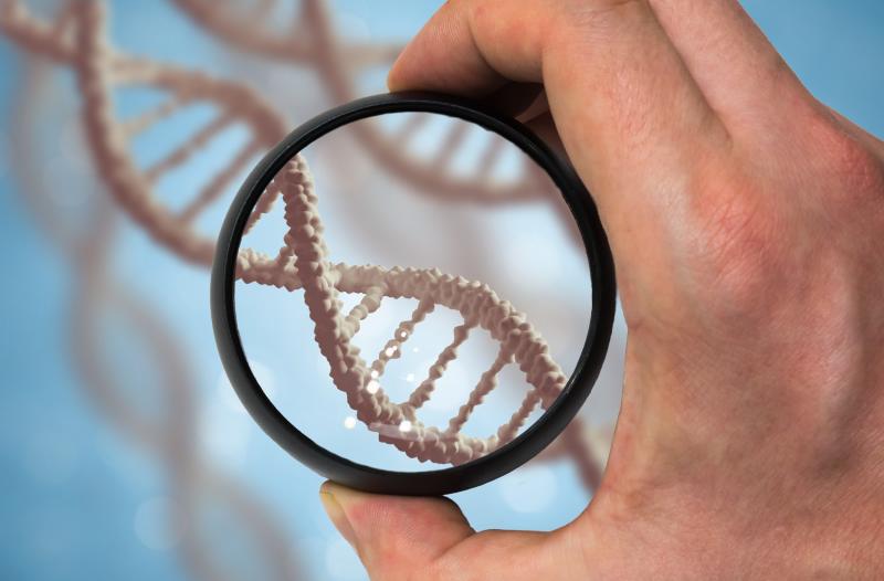 A gene, CDH13 has been found to have a strong effect in causing ASD.