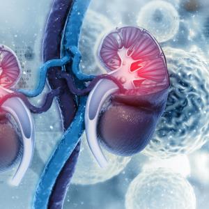 NT-proBNP elevations during BP treatment a red flag for kidney function decline