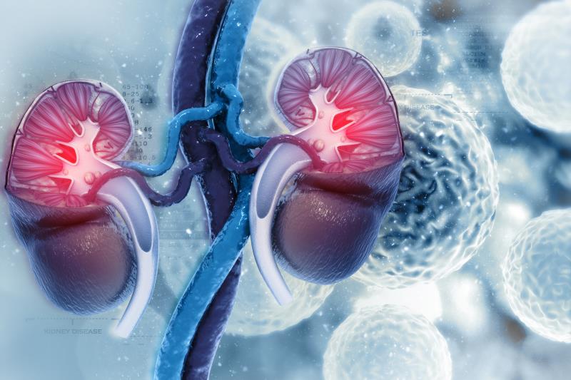 NT-proBNP elevations during BP treatment a red flag for kidney function decline