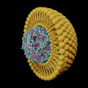 Old drugs, new tricks: Repositioning pitavastatin for glioblastoma treatment