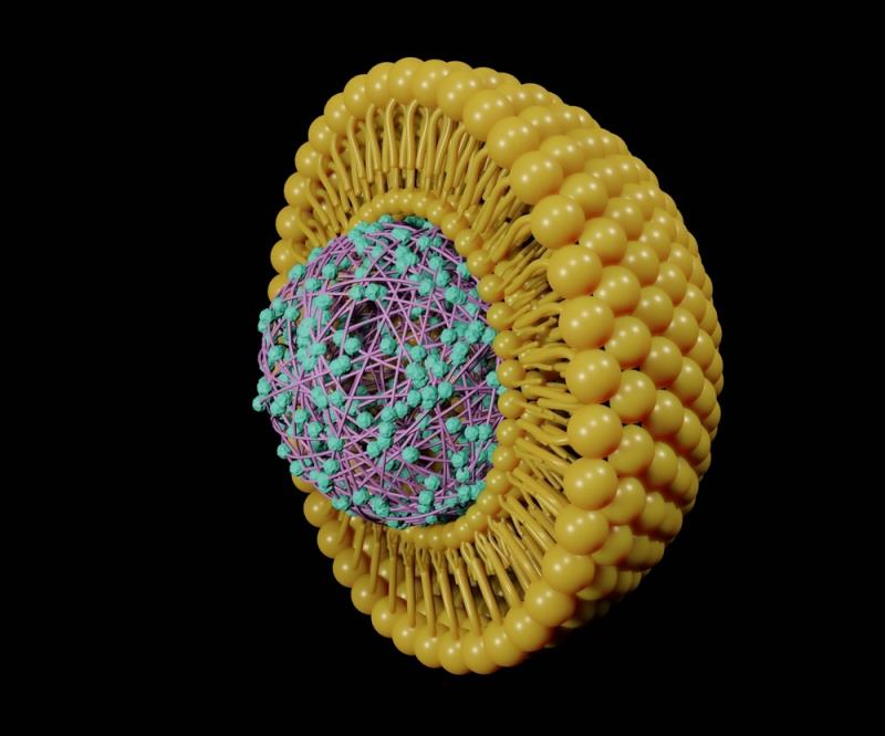 Old drugs, new tricks: Repositioning pitavastatin for glioblastoma treatment