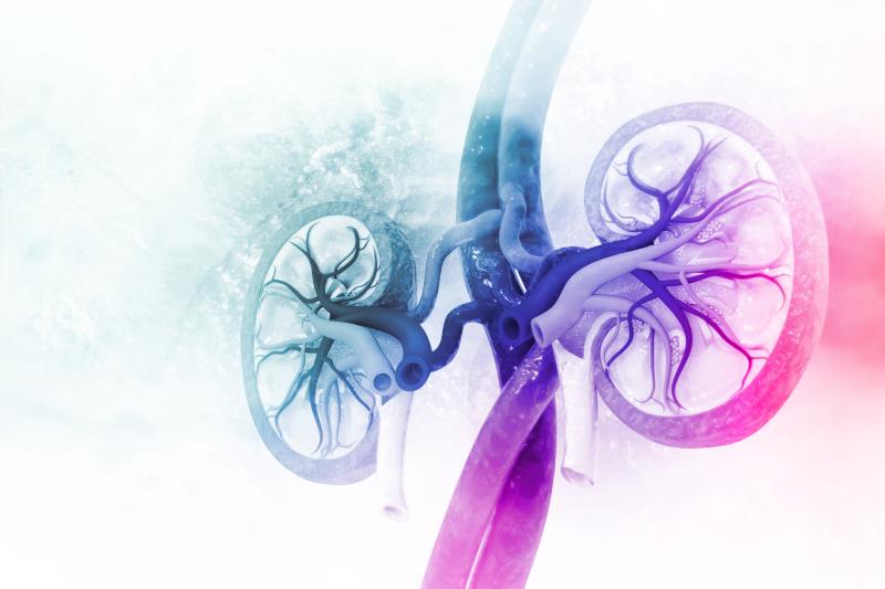 DUET OLE supports long-term nephroprotection of sparsentan for FSGS patients