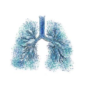 NOTUS boosts dupilumab role for COPD, type 2 inflammation