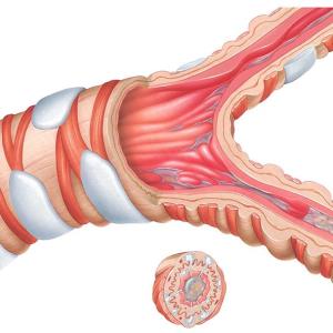Dupilumab reduces mucus plugging, volume in adults with asthma