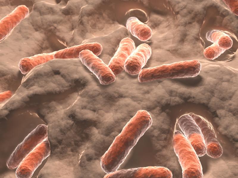 E. coli, S. agalactiae afflict most infants with invasive bacterial infections