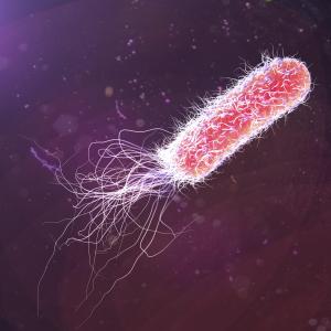 Ceftolozane–tazobactam for resistant P. aeruginosa infections linked to high clinical success