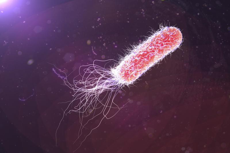 Ceftolozane–tazobactam for resistant P. aeruginosa infections linked to high clinical success