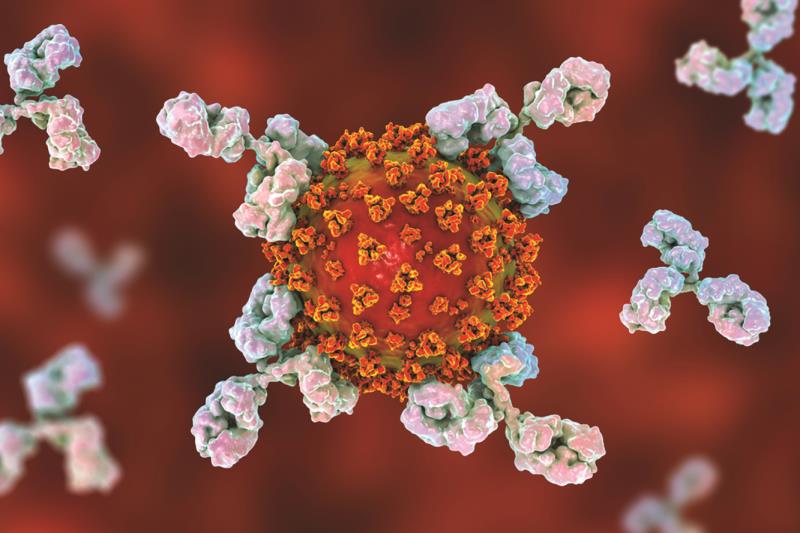 ORF8 and ORF3b antibodies: Highly sensitive and specific new markers for early and late SARS-CoV-2 infection