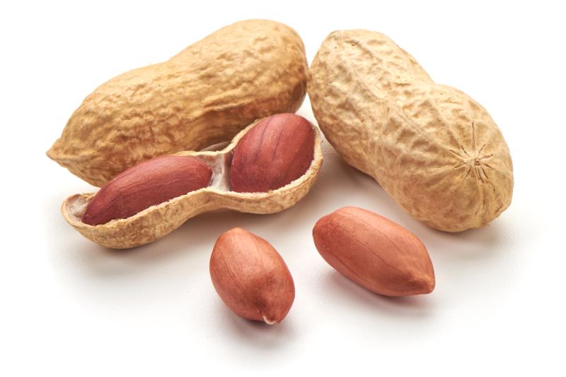 Eating peanuts may prevent stroke, CVD in Asians