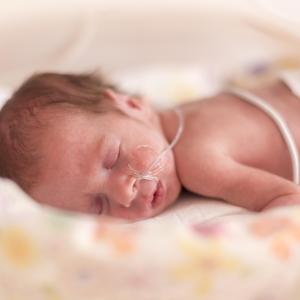 Early ibuprofen exposure conveys elevated risk of BPD in extremely preterm babies