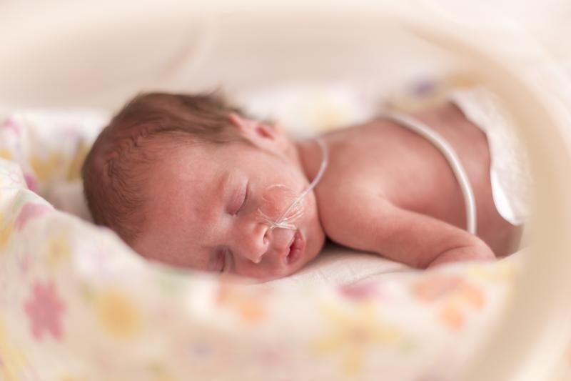 Early ibuprofen exposure conveys elevated risk of BPD in extremely preterm babies