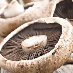 Does eating mushrooms improve cardiovascular health?