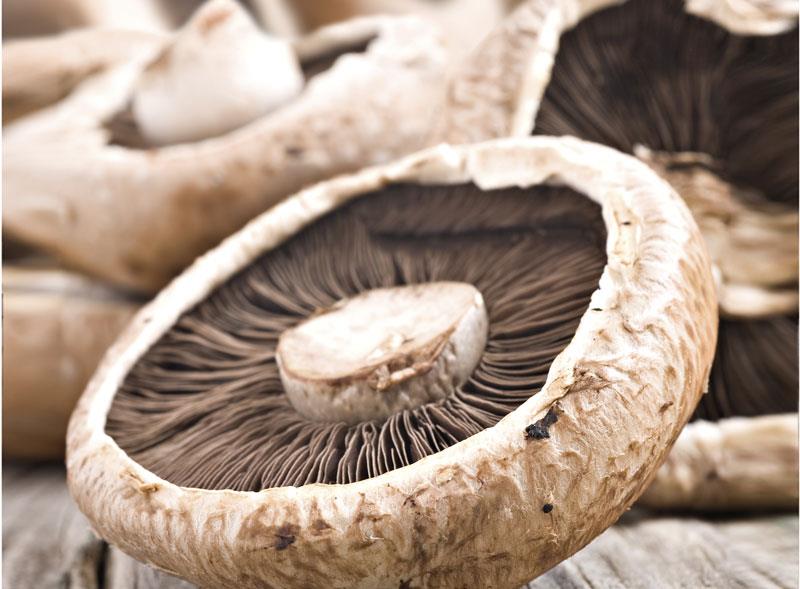 Does eating mushrooms improve cardiovascular health?