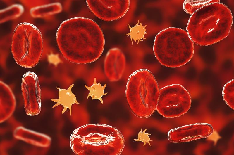 Efgartigimod tied to sustained platelet count increase in patients with ITP