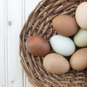 Eating >3 eggs/week may lower bad cholesterol levels