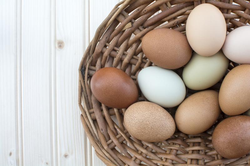 Busting the cholesterol myth in eggs