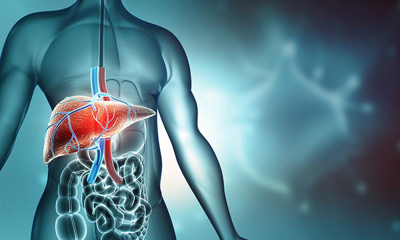 Elafibranor improves transplant-free survival in patients with PBC