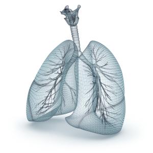 Pleuroparenchymal fibroelastosis tied to lower lung function, poorer prognosis in IPF patients