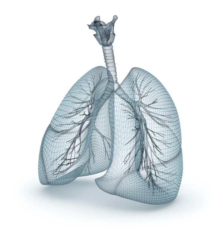 High incidence of serious adverse events seen during transcatheter pulmonary valve replacement