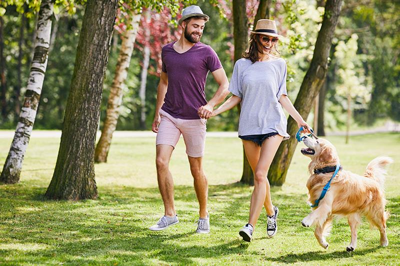 Light movement in lieu of sedentary time improves cardiometabolic outcomes