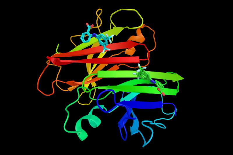 Eplontersen promising for hereditary ATTRv-PN