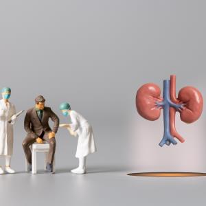 Pooled analysis reinforce voclosporin potential for lupus nephritis