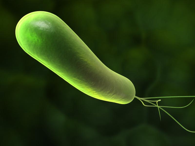 Rifabutin-based triple therapy wipes out H. pylori in infected patients