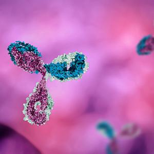 Week 2 adalimumab levels predict clinical remission in IBD patients