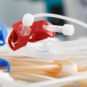 Evidence-based intervention fails to reduce haemodialysis catheter-related bloodstream infection