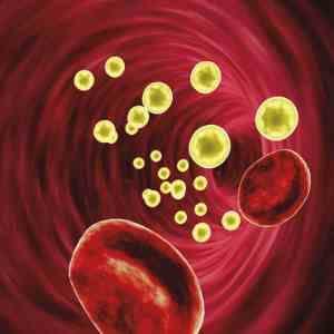 Evolocumab added to high-intensity statins safely lowers LDL-C levels in acute ACS patients