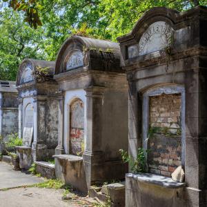 Excess mortality data from Western countries raises questions on public health policies, vaccine injury