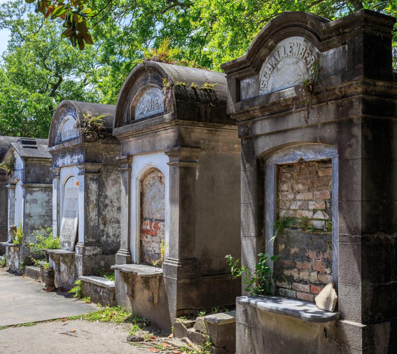 Excess mortality data from Western countries raises questions on public health policies, vaccine injury