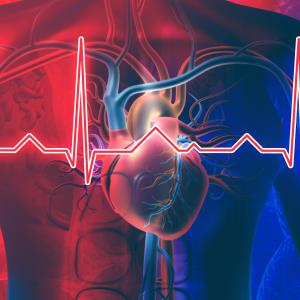 Exercise programme sustains normal heart rate in AF patients