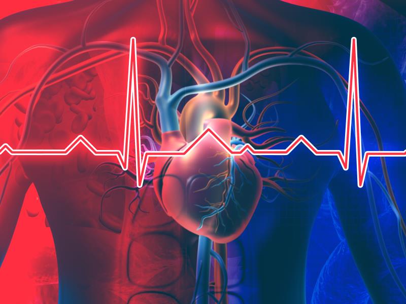 Exercise programme sustains normal heart rate in AF patients