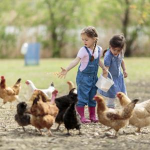 Farm life safeguards children against allergic rhinitis