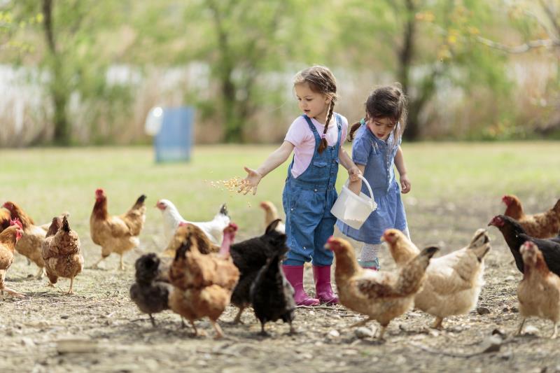 Farm life safeguards children against allergic rhinitis