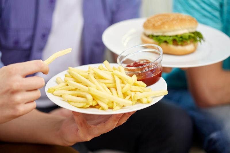 High fat intake may increase CVD risk in obese youths