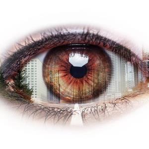 Fenofibrate staves off vision loss in diabetes