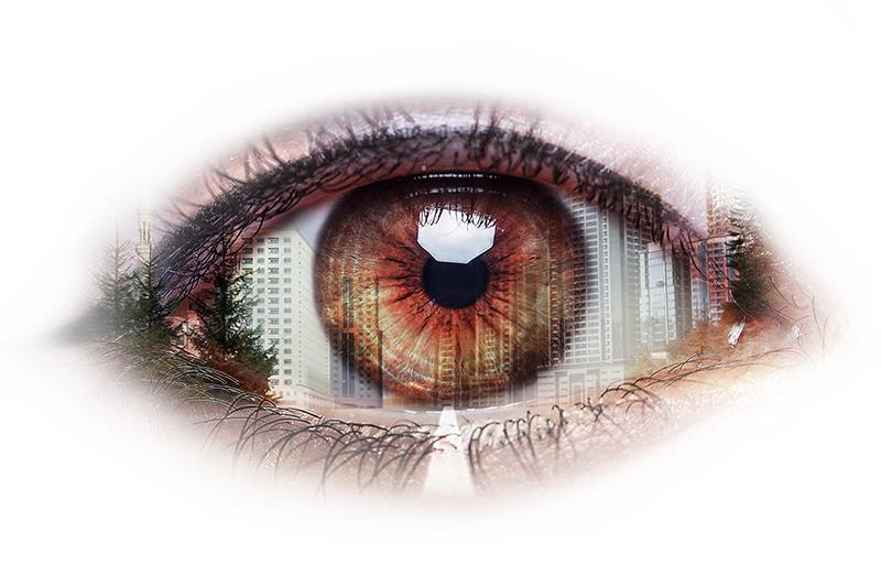 Fenofibrate staves off vision loss in diabetes