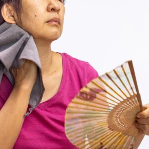 Fezolinetant reduces hot flashes during menopause