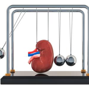 Finerenone confers consistent cardiorenal benefits in patients with CKD and T2D regardless of SGLT-2i use