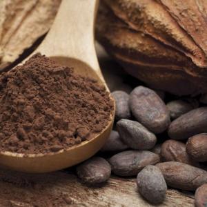 Cocoa extract fails to deliver cognitive benefits in adults