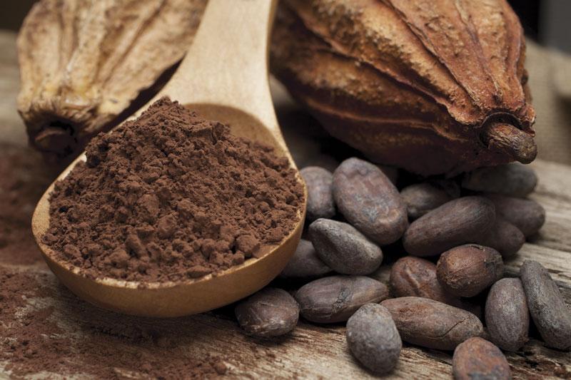 Cocoa confers benefits for walking in older adults with peripheral artery disease