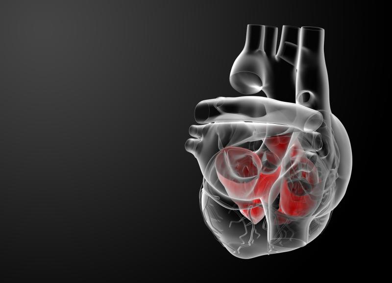 Moderate-to-severe aortic stenosis tied to poor survival when left untreated