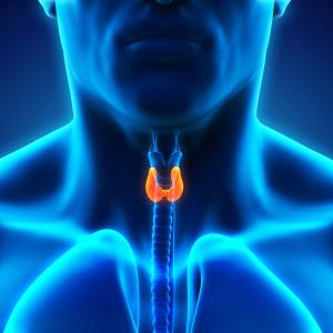 Surgery lowers risk of fracture in primary hyperparathyroidism