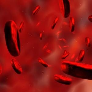 Anaemia negatively impacts QoL in CKD patients