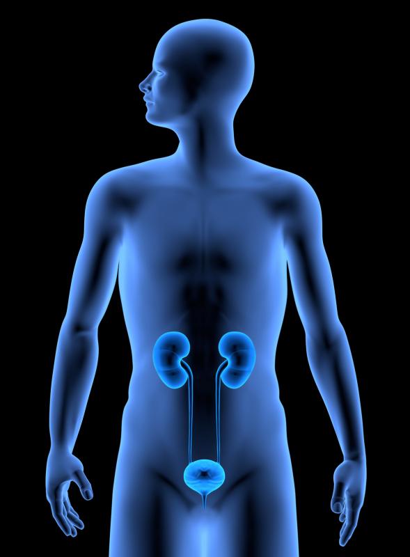 Fidget spinner-based UTI testing device yields results in less than an hour