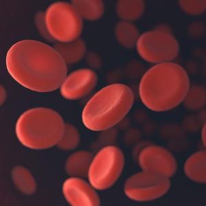 Ferric carboxymaltose fends off anaemia in kids with CKD